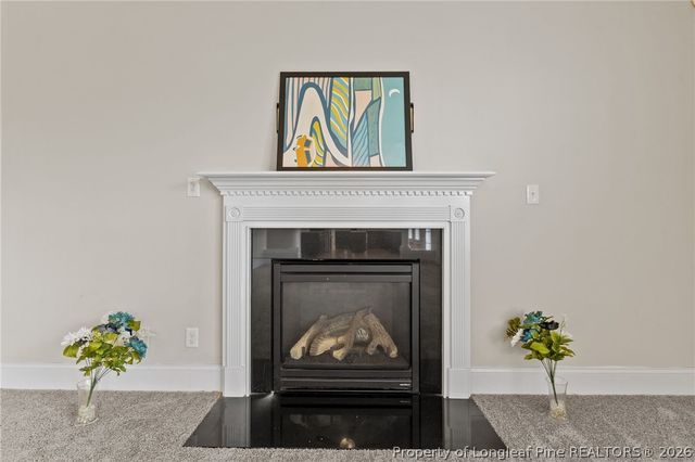 2724 Plum Ridge Road, Fayetteville, NC 28306