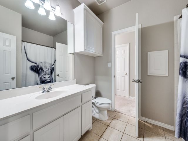 199 Pecan Crossing Court, Gunter, TX 75058