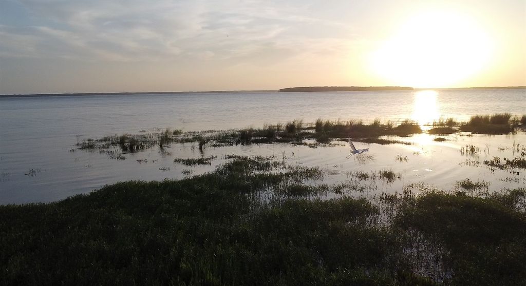 659 Calmwater Court, Mabank, TX 75143
