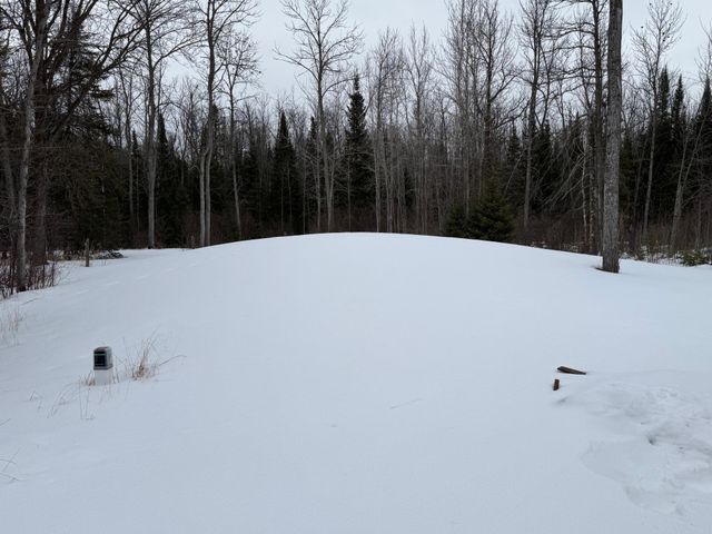 23545 Highway 1 NE, Blackduck, MN 56650