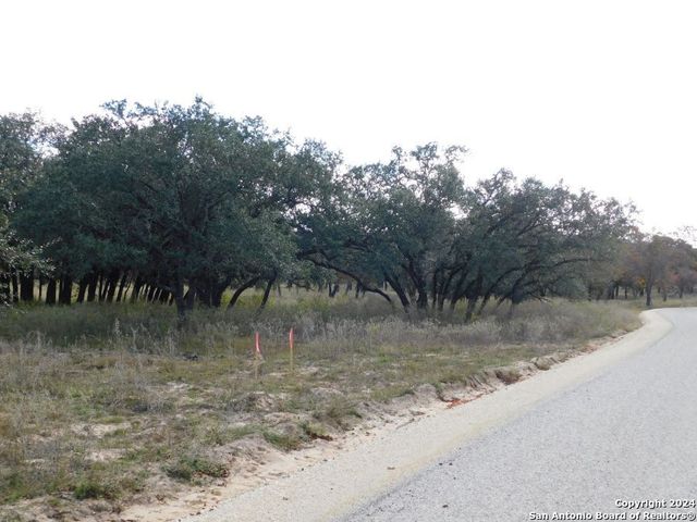 TBD County Road 781, Natalia, TX 78059