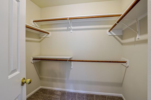 28915 Forest Hill Drive, Magnolia, TX 77355