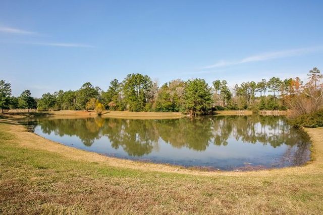 28915 Forest Hill Drive, Magnolia, TX 77355