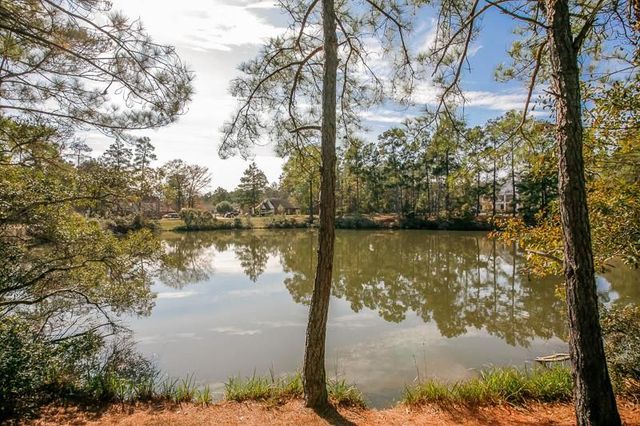 28915 Forest Hill Drive, Magnolia, TX 77355