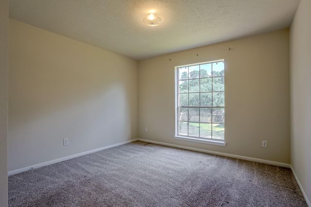 28915 Forest Hill Drive, Magnolia, TX 77355