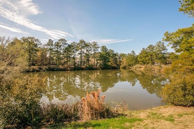 28915 Forest Hill Drive, Magnolia, TX 77355