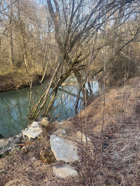 12 Burnt Mill Circle, Flintstone, GA 30725