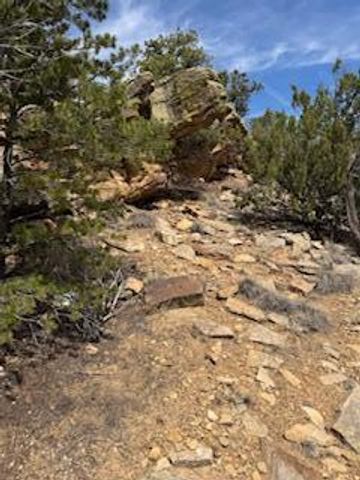 Larry's Lane, Cedar Crest, NM 87008