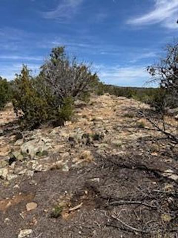 Larry's Lane, Cedar Crest, NM 87008