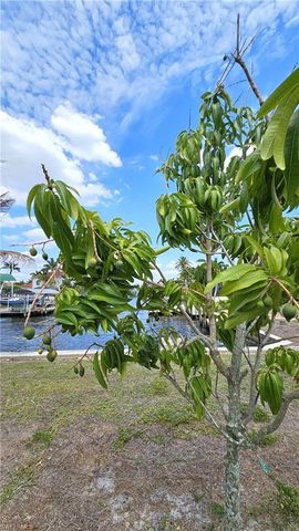 111 SW 58th TER, Cape Coral, FL 33914