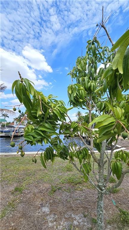 Image 3 of property listing at 111 SW 58th TER, Cape Coral, FL 33914