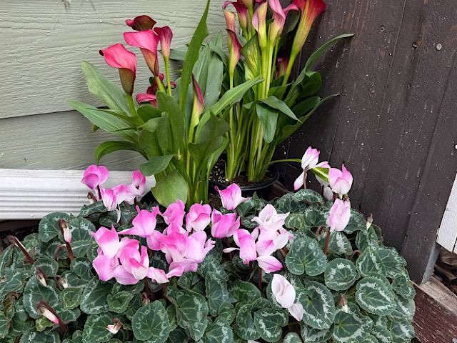 4706 San Pablo Dam Rd., El Sobrante, CA 94803