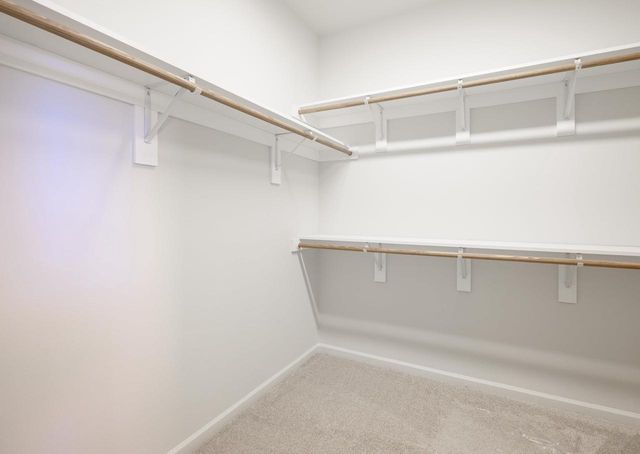 16 Spittlebug Circle, Madison, WI 53718