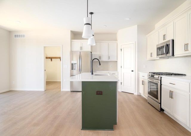 16 Spittlebug Circle, Madison, WI 53718