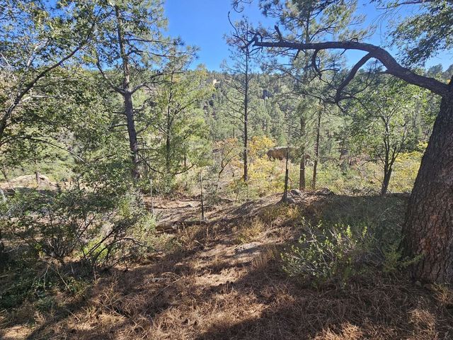 2861 Nickel, Los Alamos, NM 87544