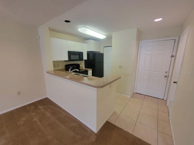 10024 STRAFFORD OAK COURT 813, Tampa, FL 33624