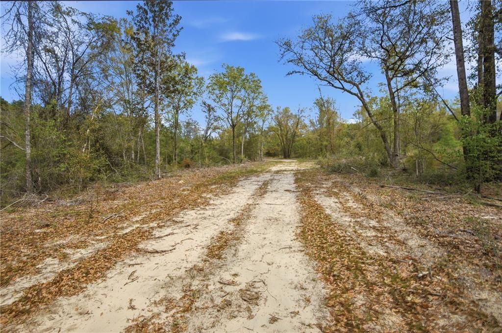 03 Newman Road, Mobile, AL 36695 — photo 3