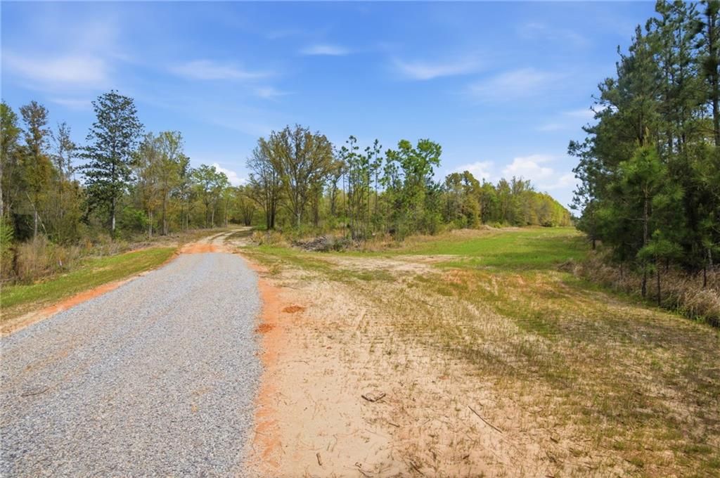 03 Newman Road, Mobile, AL 36695 — photo 4
