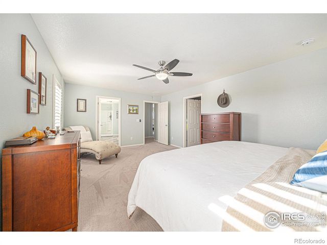 6778 Coach Light Court, Timnath, CO 80547