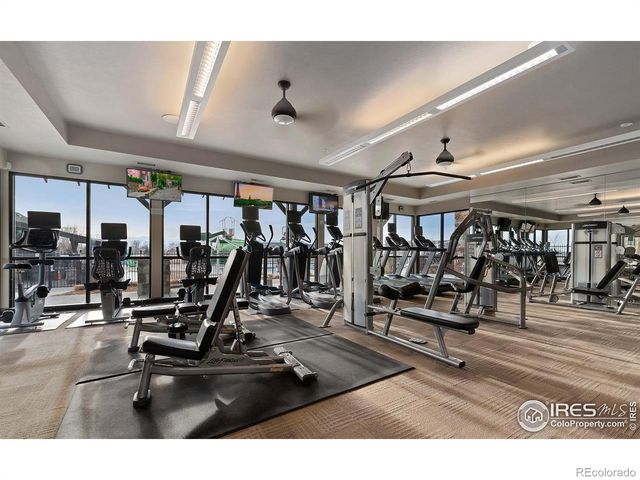 6778 Coach Light Court, Timnath, CO 80547