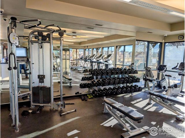 6778 Coach Light Court, Timnath, CO 80547