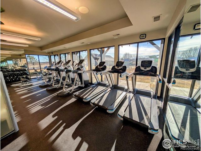 6778 Coach Light Court, Timnath, CO 80547