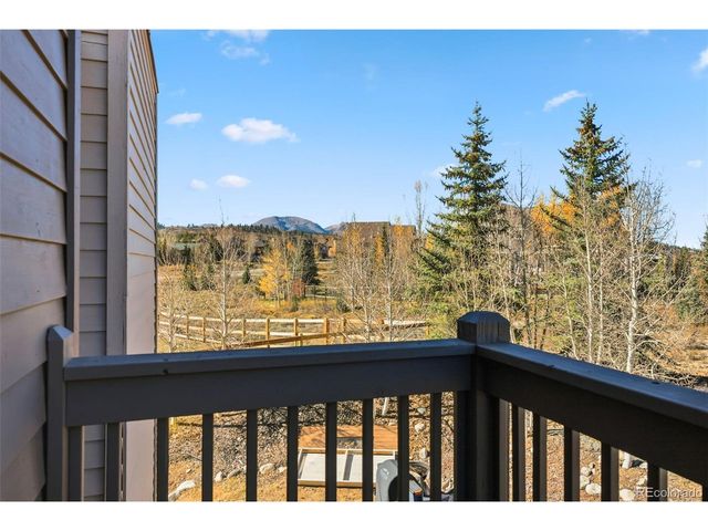 79 Landon Ln, Dillon, CO 80435