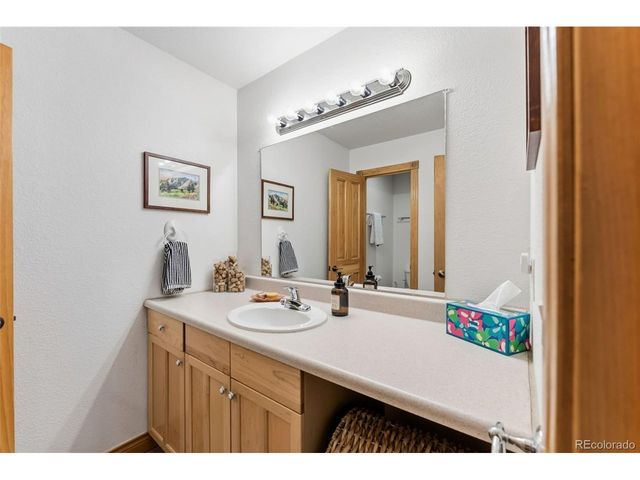 79 Landon Ln, Dillon, CO 80435