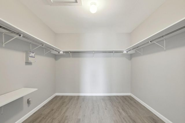 1517 Alazan CV, Round Rock, TX 78664