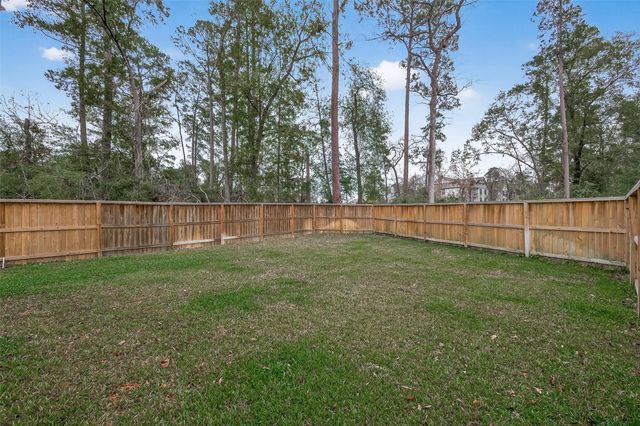 218 Skybranch Court, Conroe, TX 77304