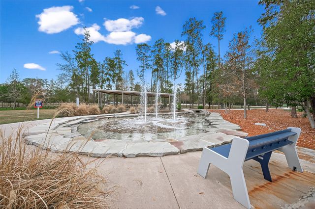 218 Skybranch Court, Conroe, TX 77304