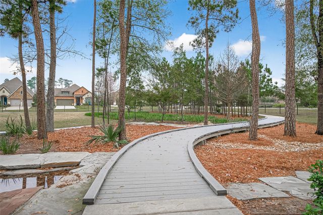 218 Skybranch Court, Conroe, TX 77304