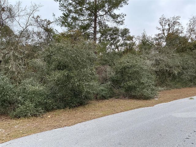 SW 137TH LOOP, Ocala, FL 34473