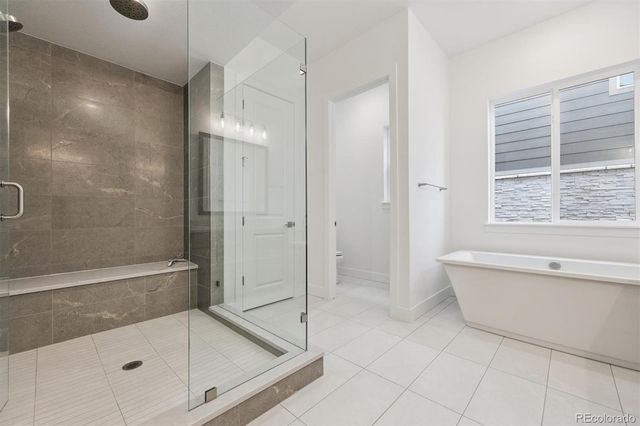 1315 Oleander Street, Castle Rock, CO 80109