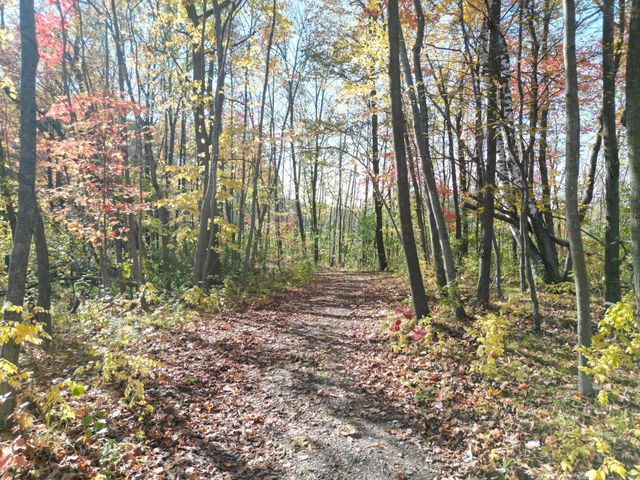 21094 Keibler Court N, Forest Lake, MN 55025