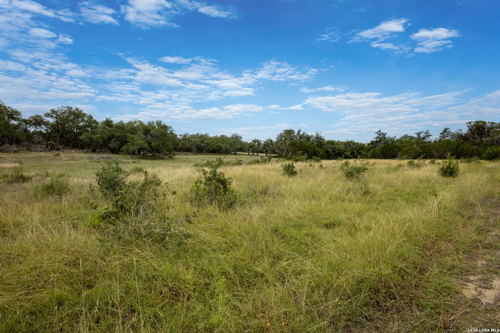 664 TRAVIS FOREST DR, Bulverde, TX 78163