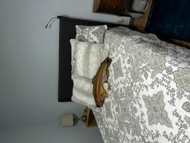 10436 Bay Avenue, Hayward, WI 54843