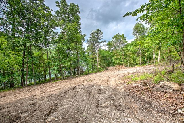 Lot 3 Eagle Cove Road, Eureka Springs, AR 72631