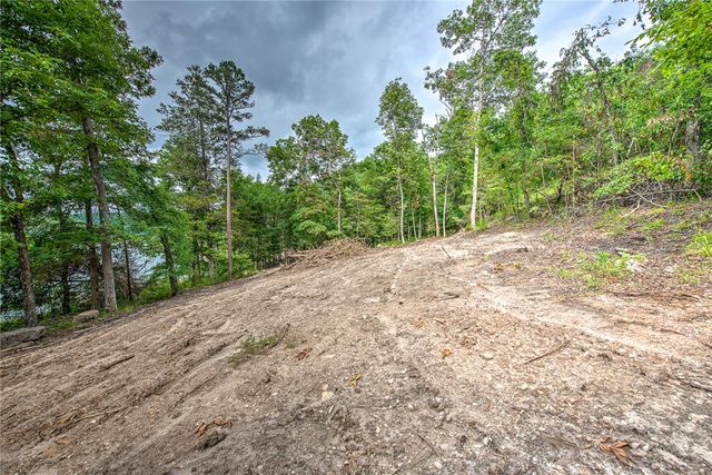Lot 3 Eagle Cove Road, Eureka Springs, AR 72631