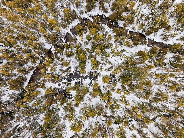 1789 S 58th Avenue, Shelby, MI 49455