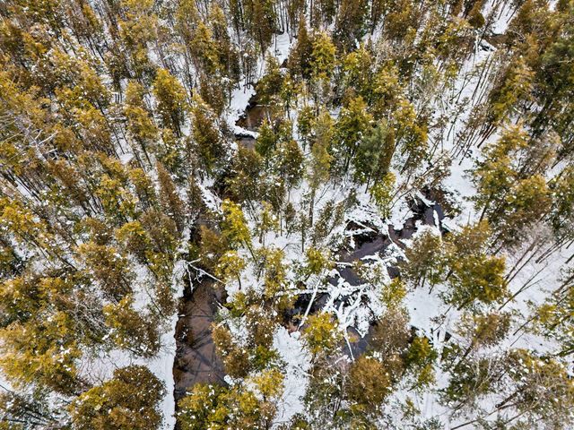 1789 S 58th Avenue, Shelby, MI 49455