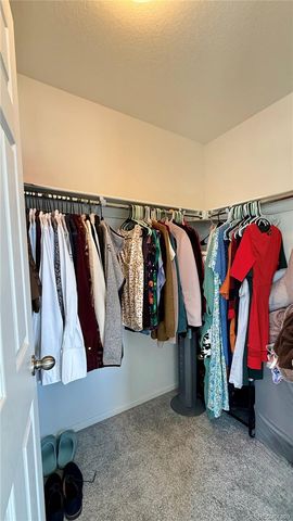 6407 Copper Drive, Frederick, CO 80516