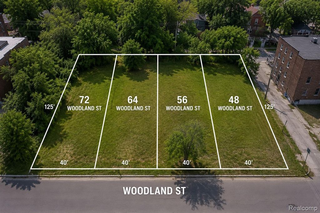 48 Woodland St, Detroit, MI 48202