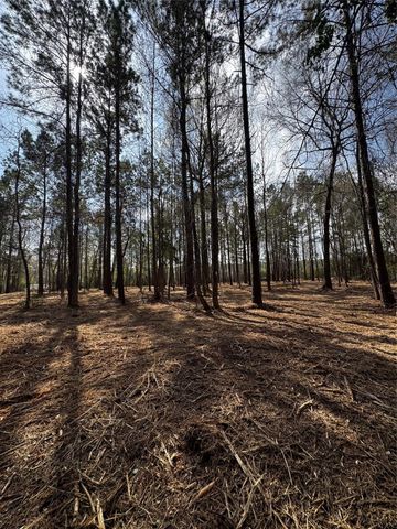 TBD Old Israel, Livingston, TX 77351