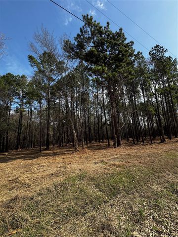 TBD Old Israel, Livingston, TX 77351