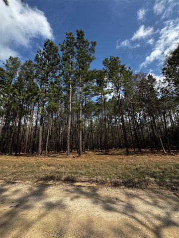 TBD Old Israel, Livingston, TX 77351