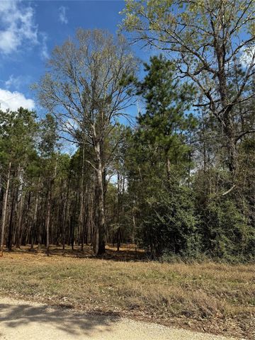 TBD Old Israel, Livingston, TX 77351