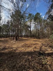 TBD Old Israel, Livingston, TX 77351