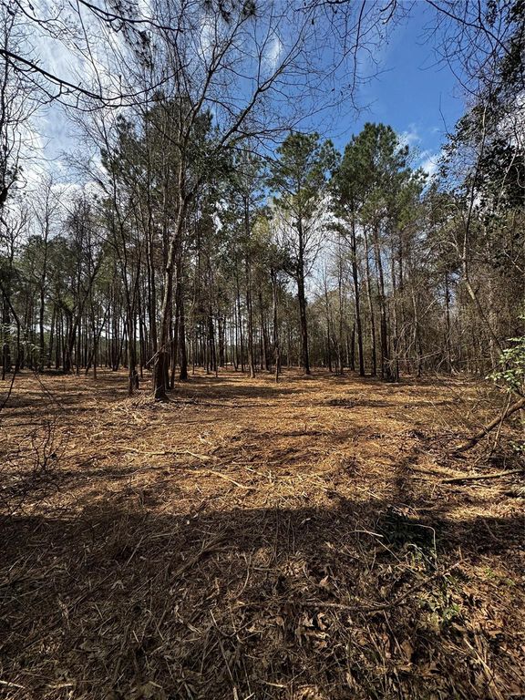 TBD Old Israel, Livingston, TX 77351