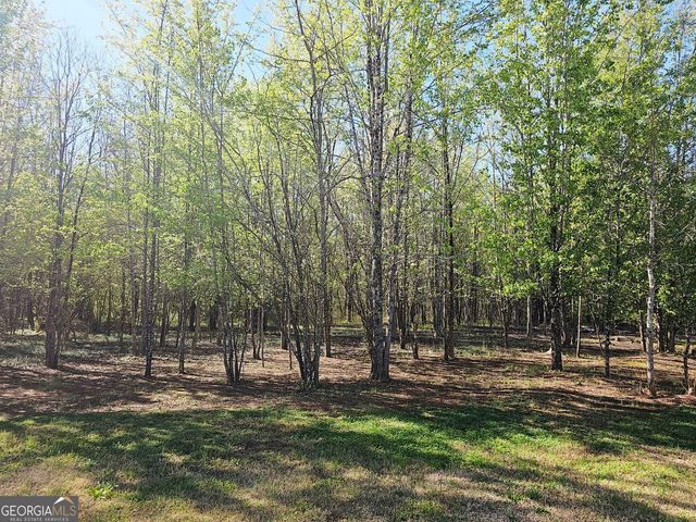 1148 Burgundy Drive, Griffin, GA 30223